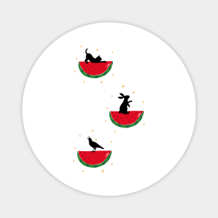 watermelon Magnet